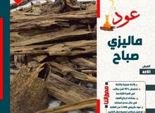 عود ماليزي صباح باسعار مغرية عود ماليزي صباح باسعار مغرية