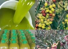 زيت العطاوية زيت العطاوية