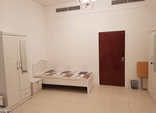 3 سرير سنجل للايجار ب 800 درهم 3 سرير سنجل للايجار ب 800 درهم