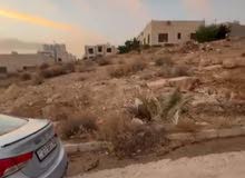 Residential Land for Sale in Amman Shafa Badran