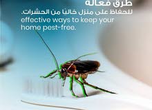 رش حشرات للمنازل والمحلات مع ضمان النتيجة وسرعة الاستجابة وكفالة  ويوجد لدينا مصائد للحشرات الطائرة