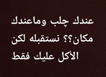 عندك كلب وماعندك مكان نستقبل كلبك دون مقابل عندك كلب وماعندك مكان نستقبل كلبك دون مقابل