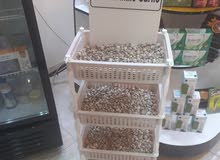 وصلنا ثوم ذكر يمني Available yemen garlic male وصلنا ثوم ذكر يمني Available yemen garlic male