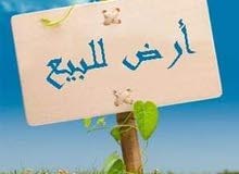 قطعة أرض للبيع في ارض بلعون سنتر قطعة أرض للبيع في ارض بلعون سنتر