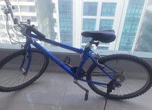 Giant Bike for sale Giant Bike for sale