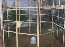 guarantee Cage new guarantee Cage new