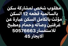 مطلوب مشاركة سكن بالسالمية مطلوب مشاركة سكن بالسالمية