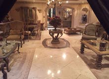 بشارع البطل احمد عبد العزيز الرئيسي بالمهندسين شقه مفروشه رائعه بشارع البطل احمد عبد العزيز الرئيسي بالمهندسين شقه مفروشه رائعه