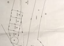 Farm Land for Sale in Jenin Other