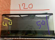Big fish tank 120 *50 cm Big fish tank 120 *50 cm