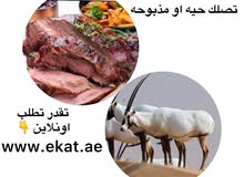 ذكور غزلان 1800 درهم فقط ذكور غزلان 1800 درهم فقط