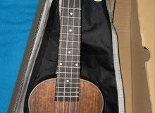 يوكليلي ukulele
