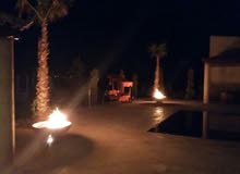مزرعة مميزة للبيع في منطقة المصطبة قرب جامعة فيلادلفيا تبعد نصف ساعة عن عمان مزرعة مميزة للبيع في منطقة المصطبة قرب جامعة فيلادلفيا تبعد نصف ساعة عن عمان