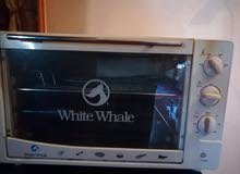 White whale White whale