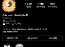حساب لنشر القطط و ما يخص القطط حساب لنشر القطط و ما يخص القطط