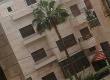 25m2 Studio Apartments for Rent in Amman Al-Mahatta