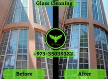 Pest control and cleaning services