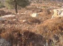 Residential Land for Sale in Ramallah and Al-Bireh Ein Arik