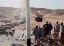 قطع الاشجار الغير مرغوب فيها قطع الاشجار الغير مرغوب فيها
