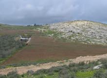 Residential Land for Sale in Jenin Other