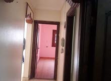 شقه لقطه أول طريق شوبر من السريع 94م سوبر لوكس شقه لقطه أول طريق شوبر من السريع 94م سوبر لوكس