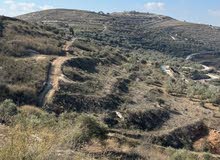 Mixed Use Land for Sale in Tulkarm Bal'a