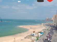 شقق مفروشه ميامي خالد بحر شقق مفروشه ميامي خالد بحر