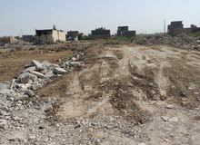 Residential Land for Sale in Baghdad Sadr City