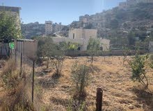 Residential Land for Sale in Hebron Other