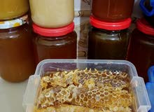 عسل الجرجير للمتزوجين + عسل الزعتر النادر + الشهدة0771665012 عسل الجرجير للمتزوجين + عسل الزعتر النادر + الشهدة0771665012