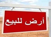 ارض للبيع بالقرب من اكسبو 2020 ومطار ال مكتوم الدولى بالتقسيط على 4 سنوات ارض للبيع بالقرب من اكسبو 2020 ومطار ال مكتوم الدولى بالتقسيط على 4 سنوات
