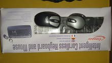 keyboard / mouse×2 (( wireless)) keyboard / mouse×2 (( wireless))