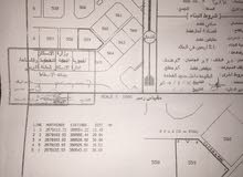 ارض سكنية في ولاية البريمي الغريفه المرحله الاولىA ارض سكنية في ولاية البريمي الغريفه المرحله الاولىA