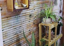ستاند نباتات خشبي