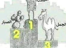 فني تركيب لوازم المنزل والسيارات ..قاعده شاشات ..ستائر..غسالات ...اثاث..مكيفات.. فني تركيب لوازم المنزل والسيارات ..قاعده شاشات ..ستائر..غسالات ...اثاث..مكيفات..