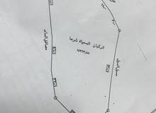 أراضي للبيع في الطائف أراضي للبيع في الطائف