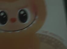 ‏بوب أصلي12
