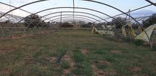 ثلاث صوبات 10×40 ثلاث صوبات 10×40