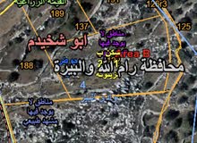 ارض لقطه بالقرب من جامعه بيرزيت