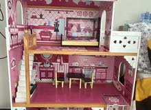 Big Doll house