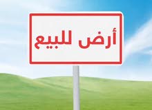 صهيب نابلس