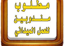 مطلوب مندوبين في جده في مجال الدعايه والاعلان للعمل الميداني يشترط امتلاك سياره مطلوب مندوبين في جده في مجال الدعايه والاعلان للعمل الميداني يشترط امتلاك سياره