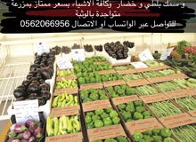 جميع الخضروات للبيع جميع الخضروات للبيع
