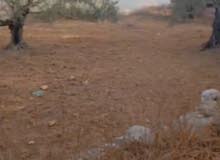 قطعة لرض للبيع
