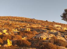 Residential Land for Sale in Hebron Dura