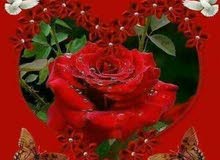 ابحث عن عمل ابحث عن عمل