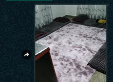 سجاد فرو سجاد فرو
