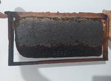 عسل حر طبيعي عسل حر طبيعي