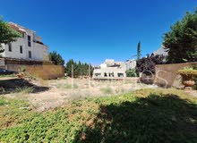 Residential Land for Sale in Amman Dabouq