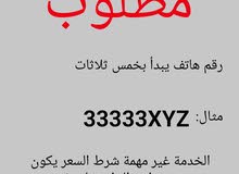 مطلوب رقم هاتف مطلوب رقم هاتف